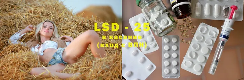 где продают   Александров  Лсд 25 экстази ecstasy 